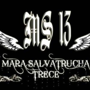 Meet your Posher, Ernesto